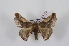  ( - Bc-Her6193)  @11 [ ] Unspecified (default): All Rights Reserved  Unspecified Unspecified
