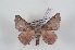  ( - Bc-Her6208)  @11 [ ] Unspecified (default): All Rights Reserved  Unspecified Unspecified