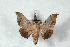  ( - BC-Her1672)  @12 [ ] Copyright (2010) Unspecified Research Collection of Daniel Herbin