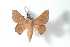  ( - BC-Her3921)  @13 [ ] Copyright (2010) Unspecified Research Collection of Daniel Herbin