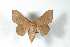  ( - BC-Her3922)  @13 [ ] Copyright (2010) Unspecified Research Collection of Daniel Herbin