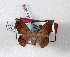  ( - Bc-Her4878)  @13 [ ] Unspecified (default): All Rights Reserved  Unspecified Unspecified