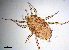  ( - BIOUG01043-D02)  @13 [ ] CreativeCommons - Attribution (2013) CBG Photography Group Centre for Biodiversity Genomics