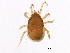  ( - BIOUG01043-D04)  @13 [ ] CreativeCommons - Attribution (2012) CBG Photography Group Centre for Biodiversity Genomics