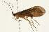  ( - 09MICAD-0010)  @13 [ ] CreativeCommons - Attribution (2010) Unspecified Centre for Biodiversity Genomics