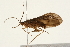  ( - 09MICAD-0012)  @13 [ ] CreativeCommons - Attribution (2010) Unspecified Centre for Biodiversity Genomics
