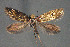 ( - CZ-Z5027)  @11 [ ] Copyright (2010) Unspecified The Reasearch Collection of H. Christof Zeller-Lukashort