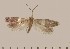  ( - CCDB-02227-G12)  @11 [ ] Copyright (2010) Unspecified The Reasearch Collection of David C. Lees