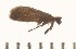  ( - CCDB-02227-H06)  @11 [ ] Copyright (2010) Unspecified The Reasearch Collection of David C. Lees