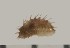  ( - GWB-9789)  @11 [ ] Unspecified (default): All Rights Reserved  Unspecified Unspecified