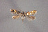  ( - MK-7592)  @11 [ ] Copyright (2010) Unspecified The Reasearch Collection of H. Christof Zeller-Lukashort