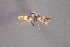  ( - MK-7590)  @11 [ ] Copyright (2010) Unspecified The Reasearch Collection of H. Christof Zeller-Lukashort