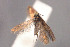  ( - CZ-Z5163)  @11 [ ] Copyright (2010) Unspecified The Reasearch Collection of H. Christof Zeller-Lukashort