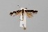  ( - CCDB-23375 A12)  @11 [ ] Copyright (2018) Zoological Institute of the Russian Academy of Science Zoological Institute of the Russian Academy of Science