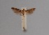  ( - CCDB-17970 B02)  @11 [ ] Copyright (2016) Zoological Institute of the Russian Academy of Science Zoological Institute of the Russian Academy of Science