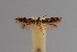  ( - CCDB-17970 G12)  @11 [ ] Copyright (2016) Zoological Institute of the Russian Academy of Science Zoological Institute of the Russian Academy of Science