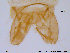  ( - ES165)  @13 [ ] CreativeCommons - Attribution Non-Commercial Share-Alike (2013) NTNU Museum of Natural History and Archaeology NTNU Museum of Natural History and Archaeology