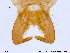  ( - ES34)  @12 [ ] CreativeCommons - Attribution Non-Commercial Share-Alike (2013) NTNU Museum of Natural History and Archaeology NTNU Museum of Natural History and Archaeology