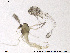 ( - ES343)  @12 [ ] CreativeCommons - Attribution Non-Commercial Share-Alike (2013) NTNU Museum of Natural History and Archaeology NTNU Museum of Natural History and Archaeology