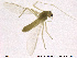  ( - ES348)  @11 [ ] CreativeCommons - Attribution Non-Commercial Share-Alike (2013) NTNU Museum of Natural History and Archaeology NTNU Museum of Natural History and Archaeology