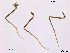  ( - ES372)  @11 [ ] CreativeCommons - Attribution Non-Commercial Share-Alike (2014) NTNU University Museum, Department of Natural History NTNU University Museum, Department of Natural History