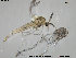  ( - ES428)  @13 [ ] CreativeCommons - Attribution Non-Commercial Share-Alike (2015) NTNU University Museum, Department of Natural History NTNU University Museum, Department of Natural History