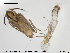  ( - ES429)  @12 [ ] CreativeCommons - Attribution Non-Commercial Share-Alike (2015) NTNU University Museum, Department of Natural History NTNU University Museum, Department of Natural History