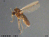  ( - ES444)  @11 [ ] Creative Commons  Attribution Non-Commercial Share-Alike (2021) NTNU University Museum, Department of Natural History NTNU University Museum, Department of Natural History
