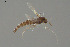  ( - ES483)  @11 [ ] Creative Commons  Attribution Non-Commercial Share-Alike (2021) NTNU University Museum, Department of Natural History NTNU University Museum, Department of Natural History