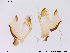  ( - MA21)  @12 [ ] CreativeCommons - Attribution Non-Commercial Share-Alike (2013) NTNU Museum of Natural History and Archaeology NTNU Museum of Natural History and Archaeology