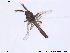  ( - NO 105)  @12 [ ] CreativeCommons - Attribution Non-Commercial Share-Alike (2013) NTNU Museum of Natural History and Archaeology NTNU Museum of Natural History and Archaeology