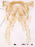 ( - NO17)  @12 [ ] CreativeCommons - Attribution Non-Commercial Share-Alike (2011) NTNU Museum of Natural History and Archaeology NTNU Museum of Natural History and Archaeology