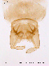  ( - NO18)  @12 [ ] CreativeCommons - Attribution Non-Commercial Share-Alike (2011) NTNU Museum of Natural History and Archaeology NTNU Museum of Natural History and Archaeology