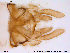  ( - NO44)  @13 [ ] CreativeCommons - Attribution Non-Commercial Share-Alike (2013) NTNU Museum of Natural History and Archaeology NTNU Museum of Natural History and Archaeology