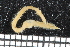 ( - ZMBN_106747)  @11 [ ] CreativeCommons - Attribution Non-Commercial Share-Alike (2015) University of Bergen University of Bergen, Natural History Collections