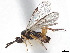  ( - CNC1042277)  @11 [ ] CreativeCommons - Attribution (2022) CBG Photography Group Centre for Biodiversity Genomics