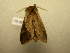  ( - 09-NCCC-377)  @13 [ ] CreativeCommons - Attribution (2010) Unspecified Centre for Biodiversity Genomics