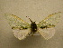  ( - 10-MISC-007)  @13 [ ] Unspecified (default): All Rights Reserved  Unspecified Unspecified