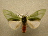  ( - 10-MISC-009)  @13 [ ] Unspecified (default): All Rights Reserved  Unspecified Unspecified