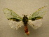  ( - 10-MISC-010)  @14 [ ] Unspecified (default): All Rights Reserved  Unspecified Unspecified