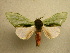  ( - 10-MISC-011)  @14 [ ] Unspecified (default): All Rights Reserved  Unspecified Unspecified