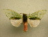  ( - 10-MISC-012)  @14 [ ] Unspecified (default): All Rights Reserved  Unspecified Unspecified