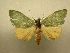  ( - 10-MISC-054)  @13 [ ] Unspecified (default): All Rights Reserved  Unspecified Unspecified