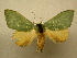  ( - 10-MISC-055)  @13 [ ] Unspecified (default): All Rights Reserved  Unspecified Unspecified