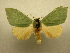  ( - 10-MISC-063)  @14 [ ] Unspecified (default): All Rights Reserved  Unspecified Unspecified