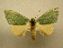  ( - 10-MISC-065)  @13 [ ] Unspecified (default): All Rights Reserved  Unspecified Unspecified
