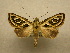  ( - 10-MISC-078)  @14 [ ] Unspecified (default): All Rights Reserved  Unspecified Unspecified
