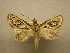  ( - 10-MISC-079)  @13 [ ] Unspecified (default): All Rights Reserved  Unspecified Unspecified