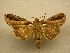  ( - 10-MISC-110)  @14 [ ] Unspecified (default): All Rights Reserved  Unspecified Unspecified