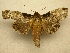  ( - 10-MISC-114)  @14 [ ] Unspecified (default): All Rights Reserved  Unspecified Unspecified